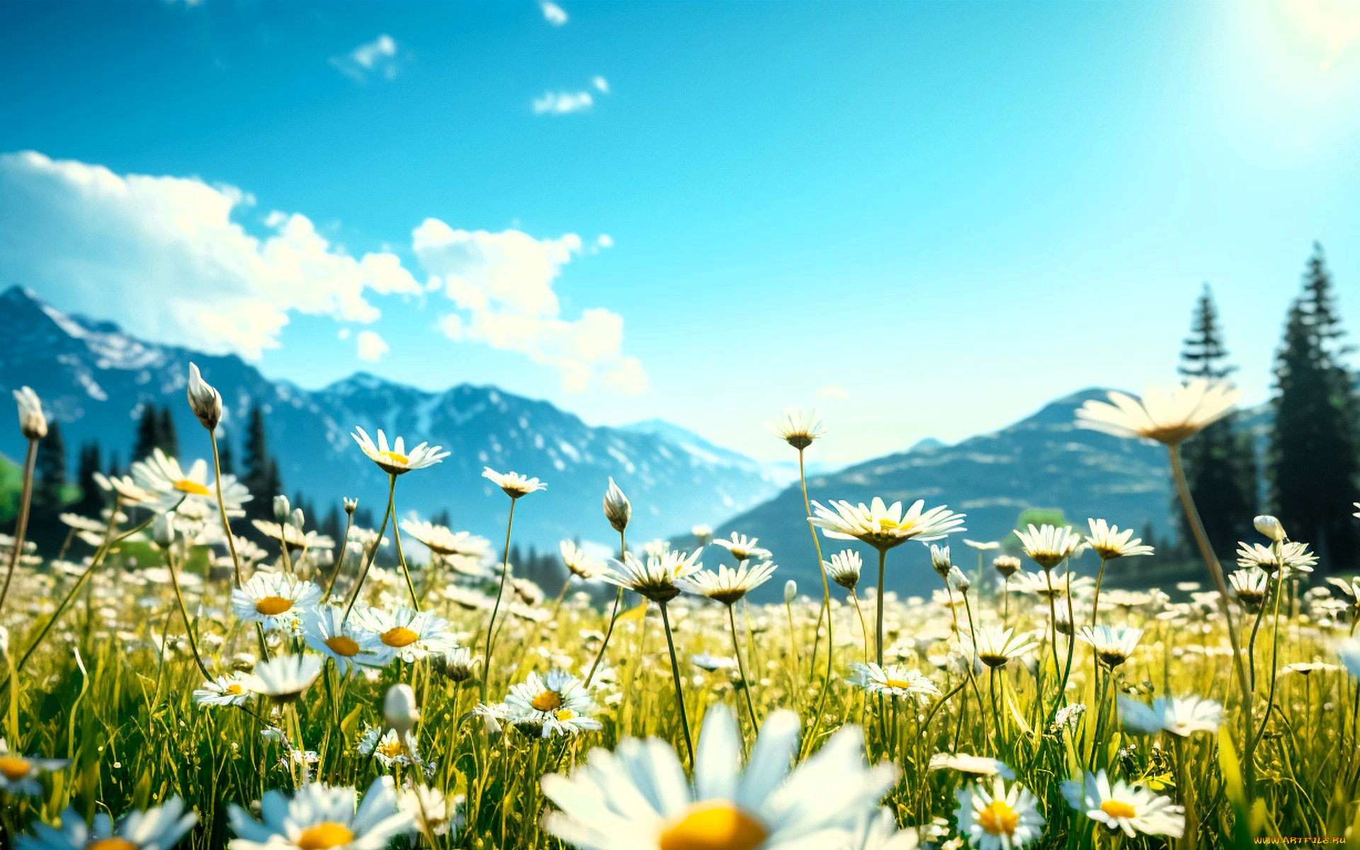 3 ,  , nature, , , , , 